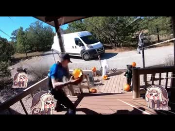 ｶﾎﾞﾁｬｦｲｼﾞﾒﾇﾝﾃﾞ…