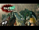 集いし 我ら 今ここに　ゼルダ無双 封印戦記実況　#9