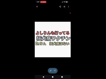 よしりんも打ってる狂犬病ワクチン　Dr.サム　狂犬病はない