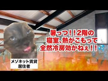 【メゾネット賃貸】見た目だけで選ぶと後悔しやすいオシャレな戸建て物件のリアルな実態 #猫マニ #猫ミーム