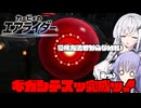 【カービィのエアライダー】白銀が空を翔けるエアライダー♯8【アリアル＆ディアちゃん実況】