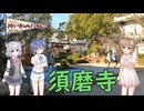 【神戸動画投稿祭2026】須磨寺【Cevio旅行】