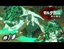 ﾆｮｷｯ　ゼルダ無双 封印戦記実況　#10