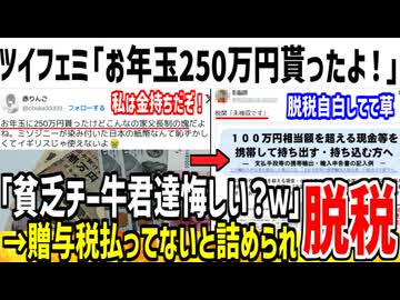 【脱税】フェミ「お年玉250万円貰った！オタク君たち悔しい？w」→贈与税払ってないだろと自爆した模様...