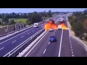 ホモと見る交通事故 2026