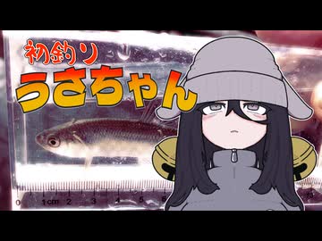 初釣りうさちゃん