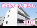 岡山駅近くで一人暮らし オシャレ部屋 1LDK賃貸マンション 岡山市北区南方