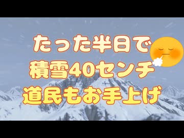 道民もお手上げ半日で40㎝の降雪