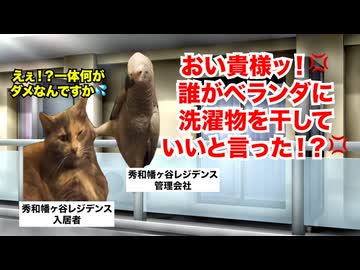 【秀和幡ヶ谷レジデンス】クソ物件オブザイヤー2年連続受賞！？「渋谷の北朝鮮」と呼ばれた集合住宅の実態 #猫マニ #猫ミーム