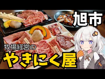 【車載】千葉県旭市で牧場が経営している焼肉屋ドライブ【千葉県のグルメ】