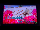カラオケ「愛の雨傘」沖縄民謡