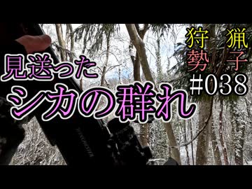 狩猟勢子動画＃038　見送ったシカの群れ