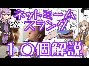 今さら人に聞けないネットのネタ解説その39【結月ゆかり×春日部つむぎ】