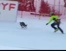 ホモと見る犬が乱入して中止になったスキーレース