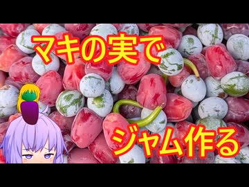 ゆかりさんとマキの実