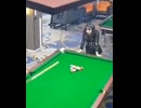 やじゅまんと見るビリヤード