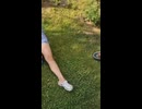 やじゅまんと見るそうはならん