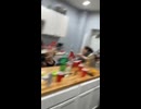 やじゅまんと見る落ち路