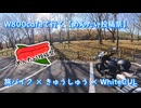 W800cafeで行く【めんたい投稿祭】旅バイク×きゅうしゅう×WhiteCUL