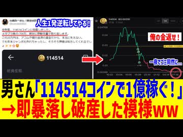 114514コインに全財産入れた男、すぐに暴落し人生終了してしまうww