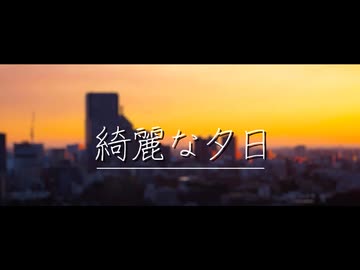 綺麗な夕日