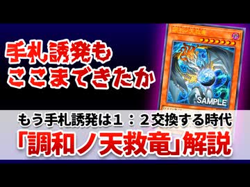 【遊戯王解説】調和ノ天救竜
