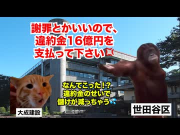 【大成建設】工期が2年遅れて16億円の違約金！？世田谷区庁舎工事を請け負った大手ゼネコンの末路 #猫マニ #猫ミーム