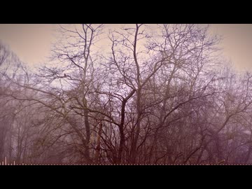 哀 【BGM】