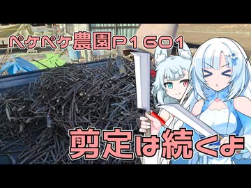 2026年1月10日　農作業日誌P1601　家庭菜園での選定作業は一応完了した模様