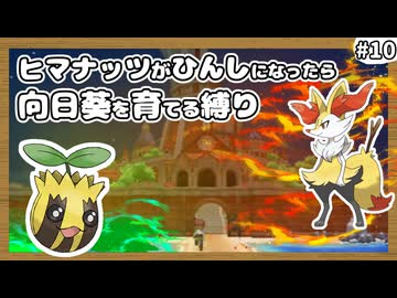【ポケモンXY】ヒマナッツがひんしになったら『現実で向日葵を育てる縛り』（Part⑩）