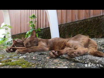 親子でまったり