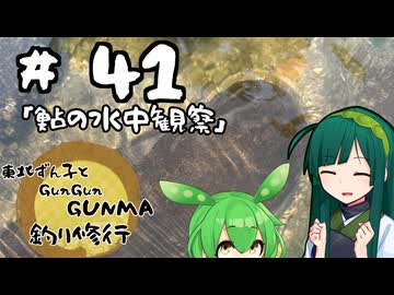 東北ずん子とgungunGUNMA釣り修行#41「鮎の水中観察」