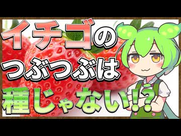 ずんだもんのたべもののヒミツ　‐イチゴのヒミツ‐