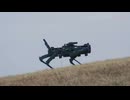 陸自ロボット犬！初の一般公開！その実力は？降下訓練始め2026 習志野演習場/習志野駐屯地