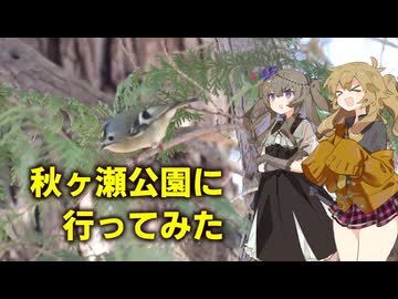春日部つむぎの秋ヶ瀬公園に行ってみたwith冥鳴ひまり【VOICEVOX旅行】