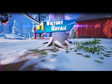 【Fortnite】2026/01/11ビクロイするだけの動画