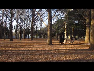 【2026年】ハレ晴れユカイ【一発目！】