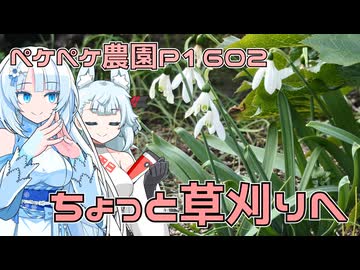 2026年1月11日　農作業日誌P1602　出稼ぎが無いので草刈りしていて、帰路は山道