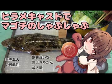 きりたんの釣果酒肴禄　ヒラメキャスティングでマゴチのしゃぶしゃぶ