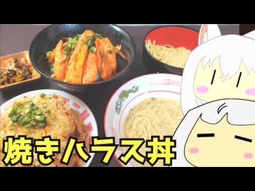 #214 棒ラーメンその２＋焼き鮭ハラス丼＋焼き飯　ゆっくりヘイホー