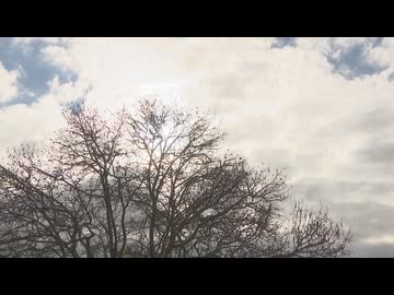 久留米市で今季最低マイナス2.4℃　福岡県内各地で冷え込み　山陽新幹線は新大阪～博多で一部列車に遅れも