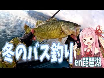 「琵琶湖って冬でも釣れんねん。」 北湖で爆釣、バス釣りの巻【ボイスロイド旅行記Vol.91】