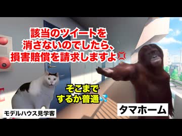 【タマホーム】戸建てバブル崩壊と度重なる炎上で客離れが止まらない大手住宅メーカー #猫マニ #猫ミーム