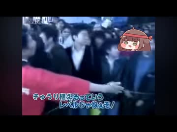 きゅうり植えるってレベルじゃねぇぞ！