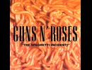 Guns N' Roses - Down On The Farm