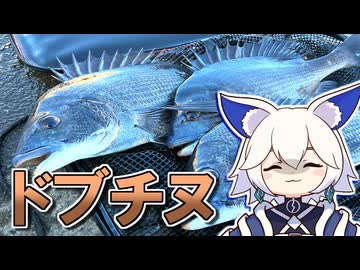 新年のご注文はドブチヌですか？【音楽的同位体】