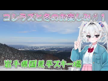 コシラズと冬のお楽しみ(25-26)＃１【岩手県国見平スキー場】