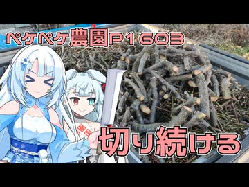 2026年1月12日　農作業日誌P1603　剪定した枝をひたすらに切り続けるだけ