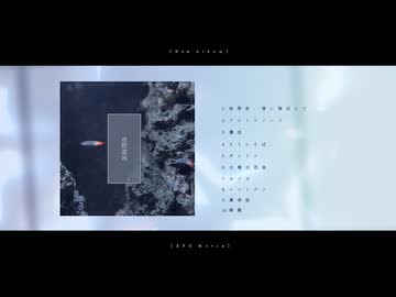 いぬころ1stアルバム「夜間遊泳」XFD