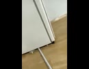 やじゅまんと見るうわ出た
